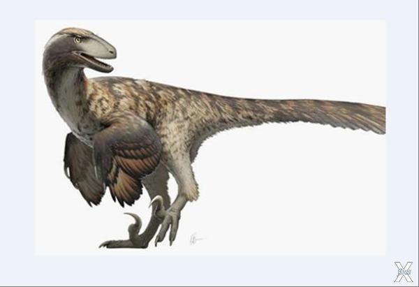 Динозавр-птица