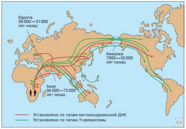 Карта миграции кроманьонцев (одичавши...
