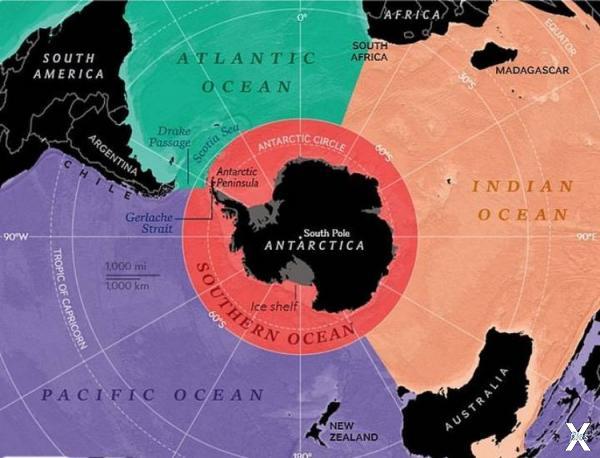 Сравнительные размеры океанов Земли