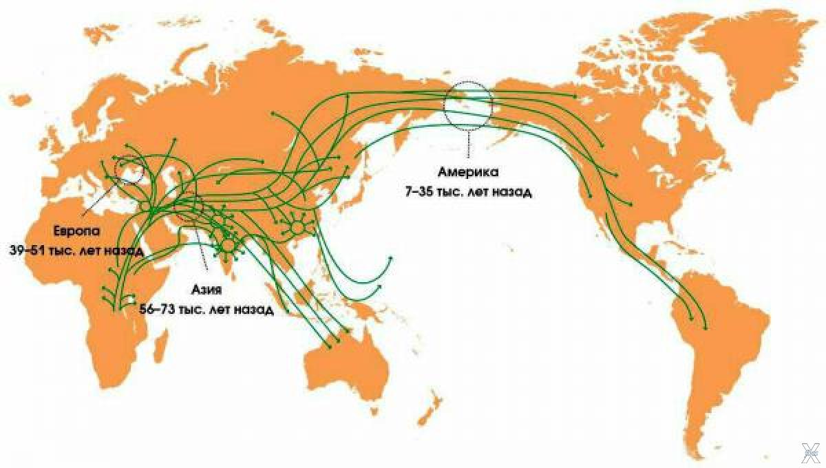 Порядок заселения материков и частей света человеком. Расселение людей из Африки. Карта миграции древних людей. Миграция людей в Америку карта.