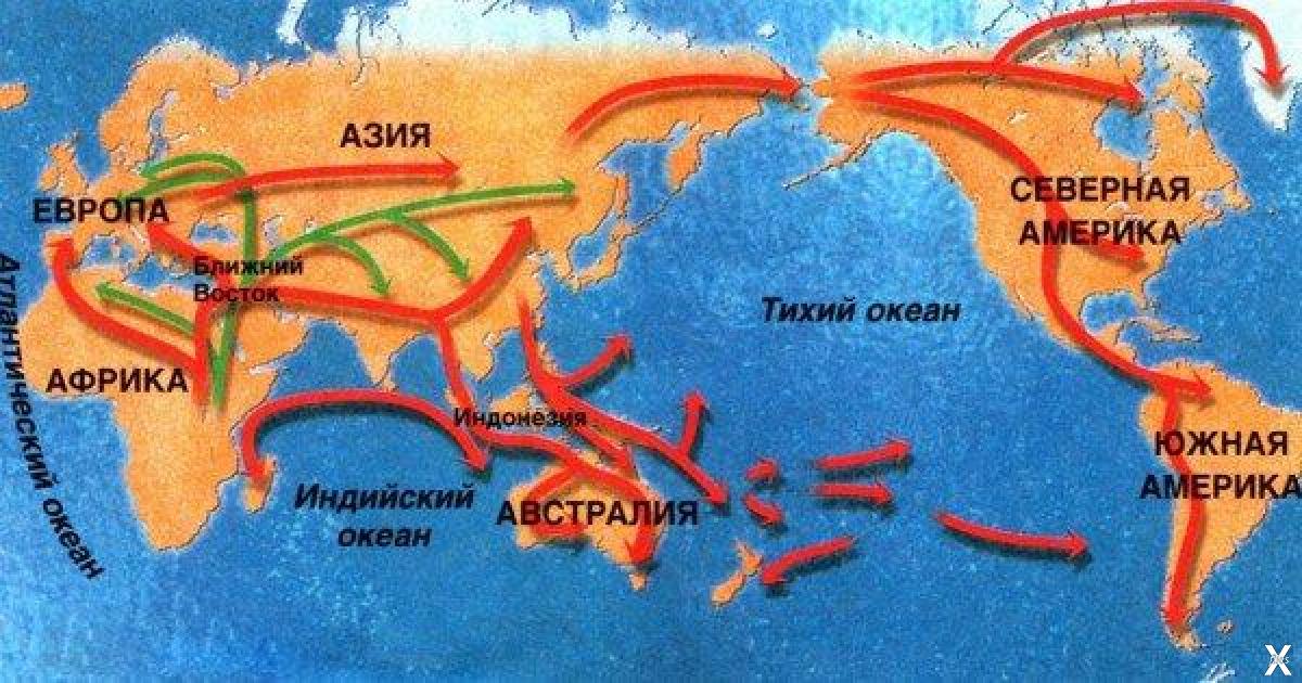 Распространение людей на земле 6 класс география. Расселение хомо сапиенс. Карта расселения людей. Карта расселения человека на земле. Карта пути расселения человека.