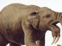 Динотерии - слоны, от которых спасались наши предки