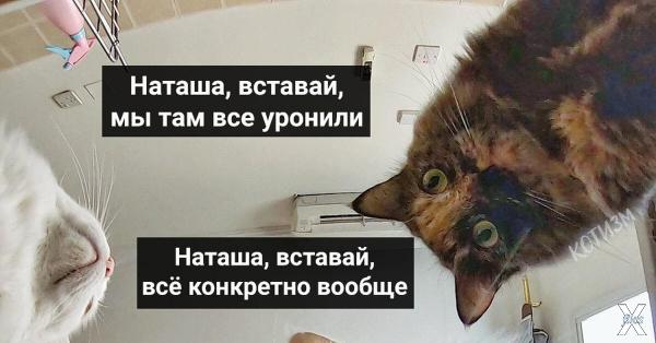Энтропия наглядно :)