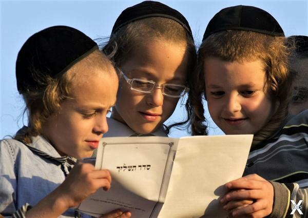 Маленькие иудеи