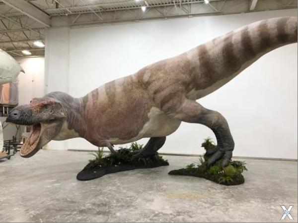 Современная реконструкция тираннозавр...