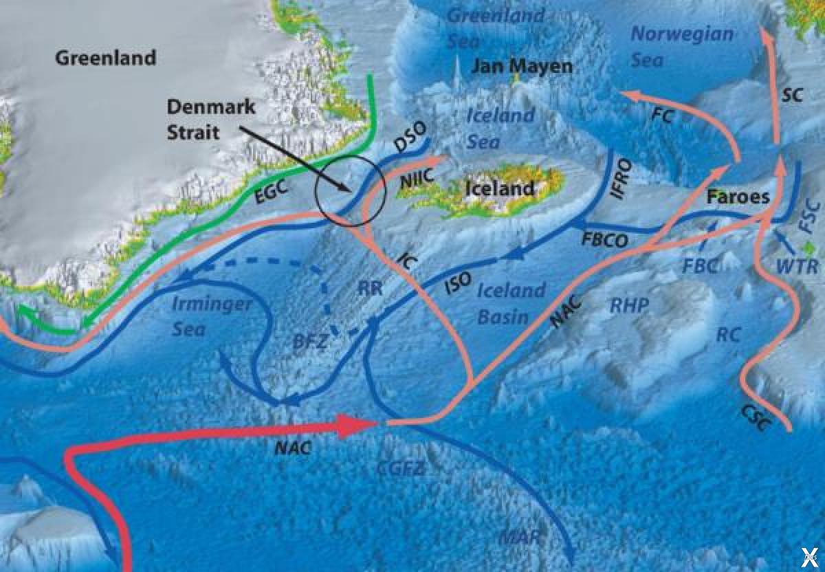 Где на карте датский пролив. Океанские течения. Норвежское течение. Водопад датского пролива. Карта течений норвежского моря.