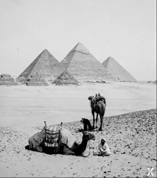 Пирамиды Гизы. Начало 20-го века