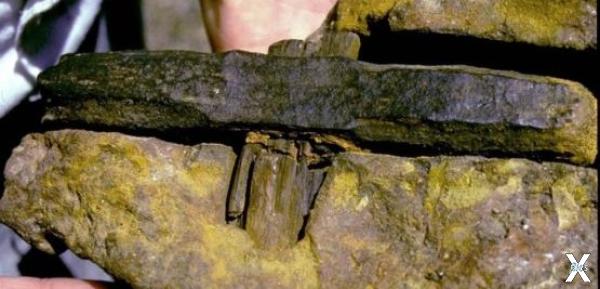 Артефакт, найденный в залежах угля