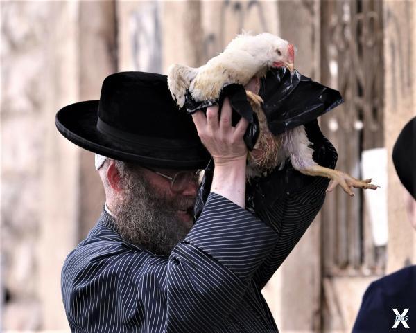 Иудей проводят ритуал капарот