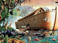 Сколько овец было у Ноя в Ковчеге