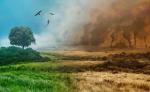 Так есть ли глобальное потепление и о каком научном консенсусе идёт речь?