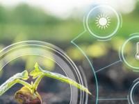 Ученые нашли у растений признаки интеллекта