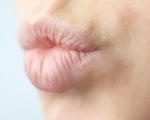 Ученые основали науку о поцелуях