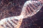 Письмо Вселенной внутри человека: наш код ДНК