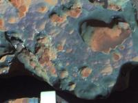 Космическая почта: фрагменты жизни, найденные в Марсианских метеоритах