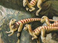 В Австралии обнаружены древнейшие норы динозавров