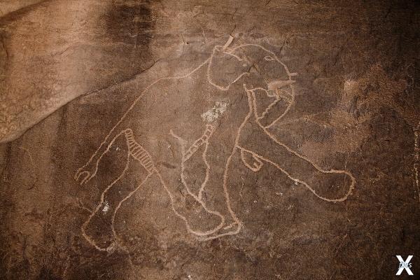 Наскальное изображение слона в регион...