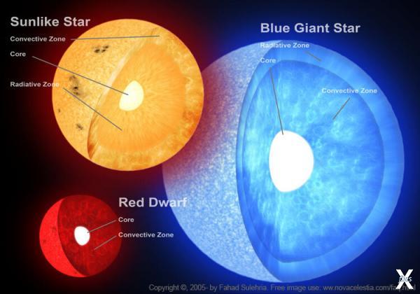 Разница в строении звёзд: жёлтых (как...