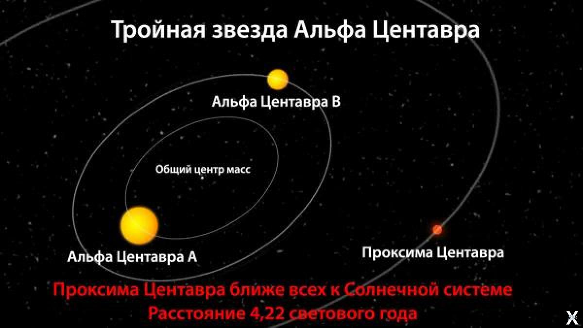 Сириус альфа центавра. Альфа Центавра тройная звезда. Система звезд Альфа Центавра. Звёздная система Альфа Центавра схема. Ближайшая к солнцу звезда Альфа Центавра.