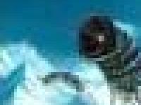 Пиявки выдерживают температуру жидкого азота