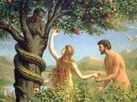 Что говорит биология об Адаме и Еве