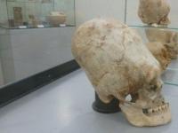 Тесты ДНК показали, что черепа из Паракаса возрастом 3 000 лет принадлежат к неизвестной человеческой расе