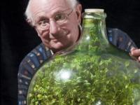 Садовник создал сад в бутылке и не открывал его 40 лет. Как цветку удалось выжить и что с ним стало сейчас