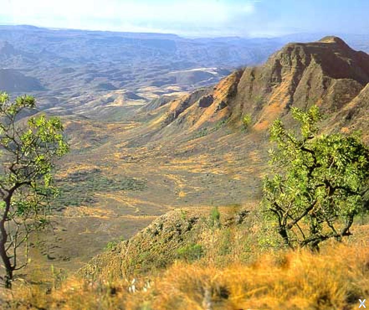 Находится в восточной африке. Гора на Восточно африканском плоскогорье. Восточно-Африканская рифтовая Долина. Великая рифтовая Долина Кения. Восточно африканское плоскогорье рифтовая Долина.
