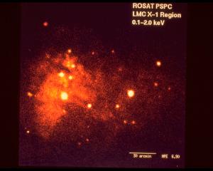 Источники рентгеновских лучей в галактике M31