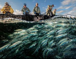 Рыбаки, Канада